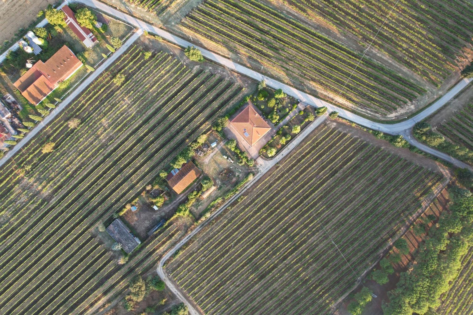 Cappannelle Country House Tuscany Villa Castiglion Fibocchi Exterior photo