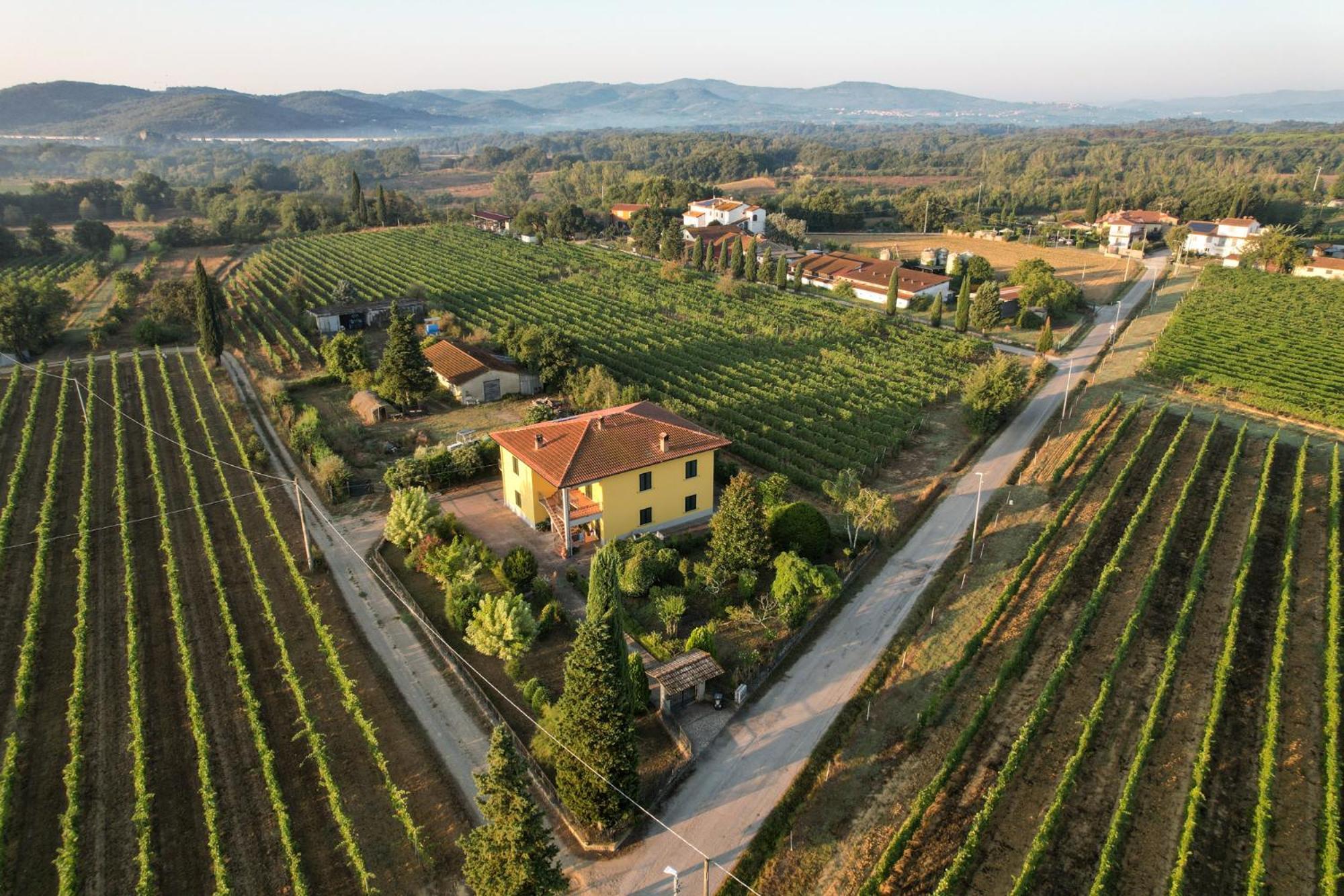 Cappannelle Country House Tuscany Villa Castiglion Fibocchi Exterior photo