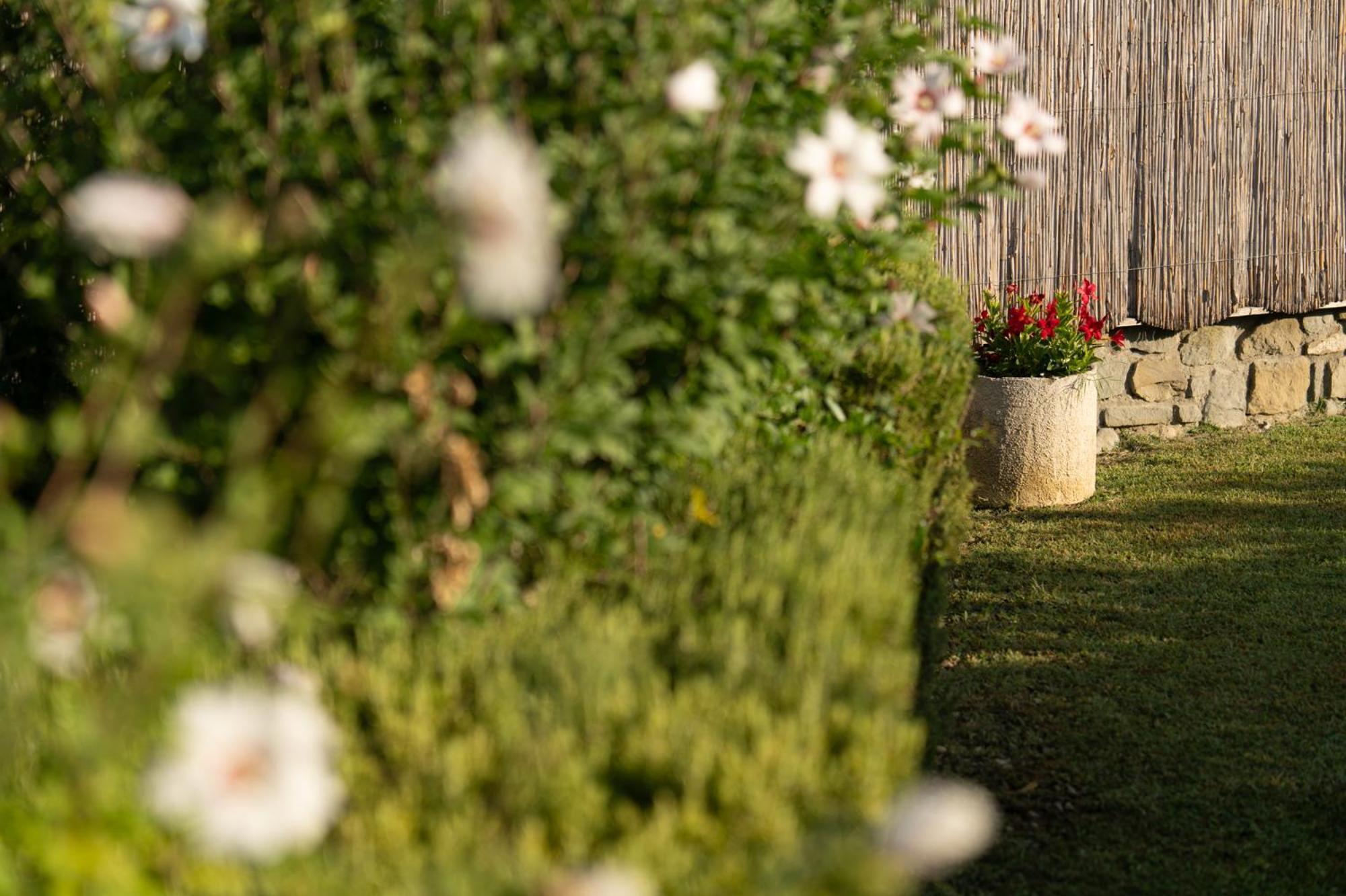 Cappannelle Country House Tuscany Villa Castiglion Fibocchi Exterior photo