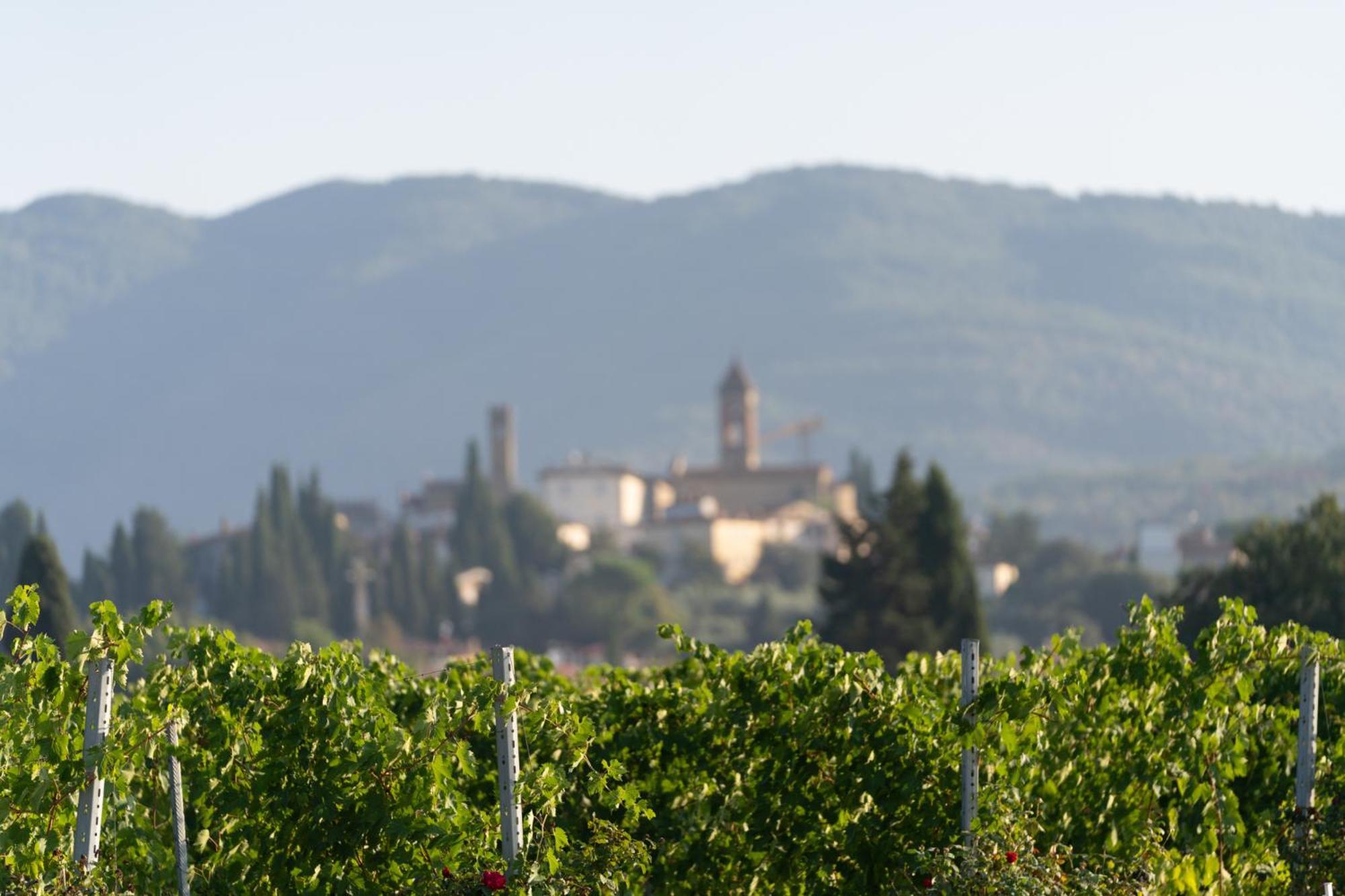 Cappannelle Country House Tuscany Villa Castiglion Fibocchi Exterior photo